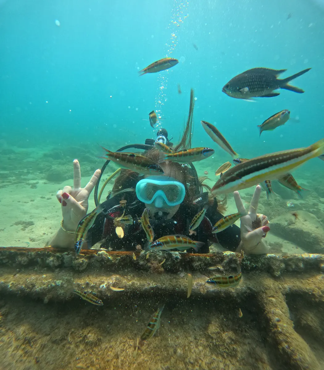 Guided open-water scuba diving in Al Hoceima