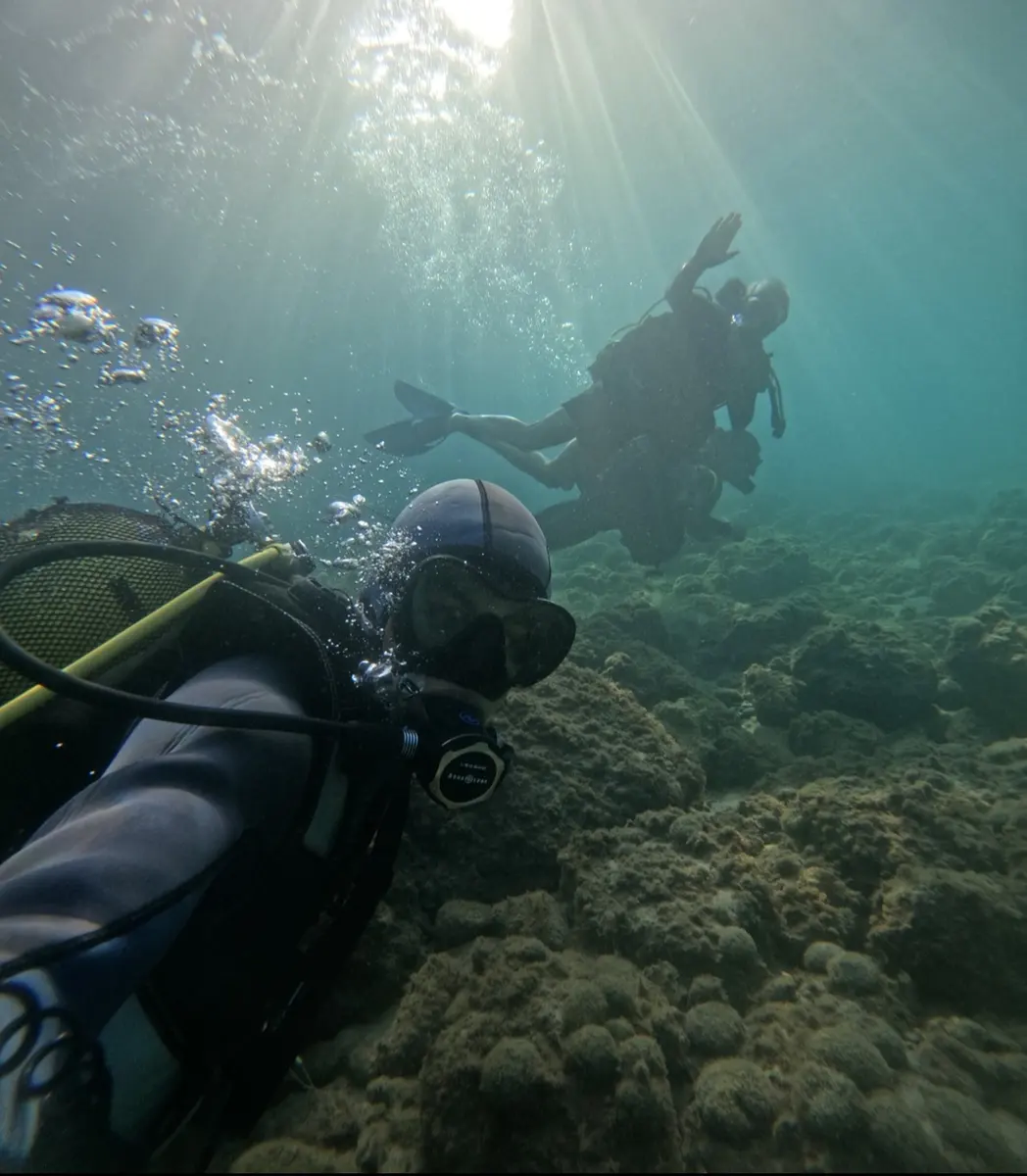 Scuba divers swimming above a Mediterranean reef