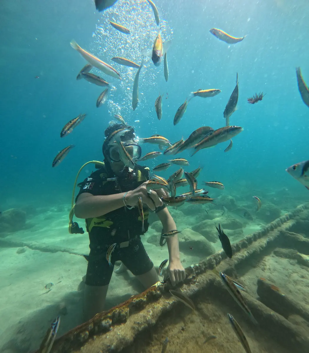 Scuba diver swimming with Mediterranean fish
